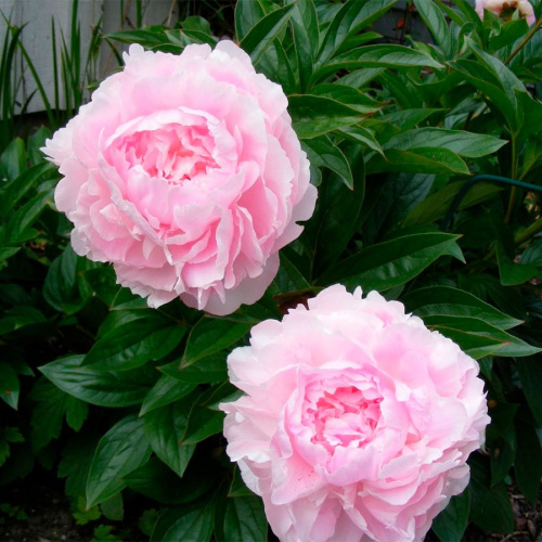 d65e16c4-8d4c-4a5a-bca1-692f40476939