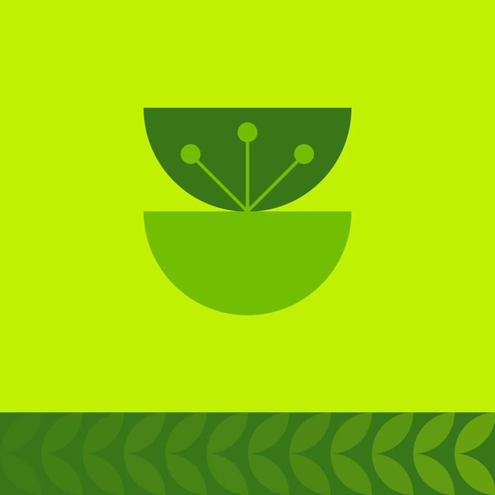 Декоративные кустарники за 150р