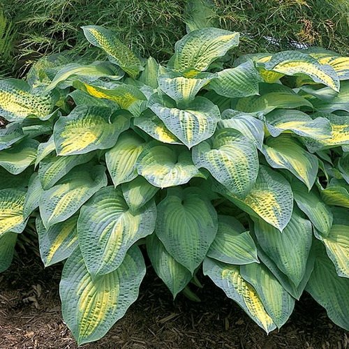 259a25bd-bf8c-4ab2-b12b-dc9501fb5b00_7a785a25-2d45-11e1-8036-e091534bb8bd