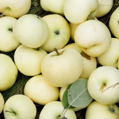 c68b318db80d711d1f0fca99770b594d