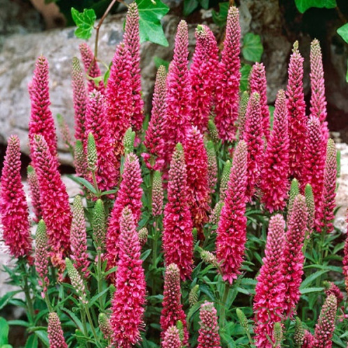 2796f3ba27d1fdb1959b2c4830f6ab62