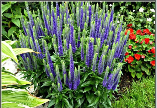 el4et0glu80upa2gihe1xobhwizkcd44