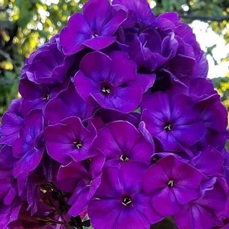 b6ebb253-a283-4c36-a72d-9c95a728bc32