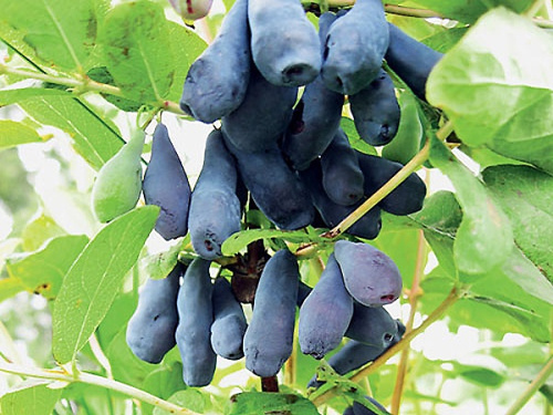 9050a134bd6d5cddff979044bf9a3768