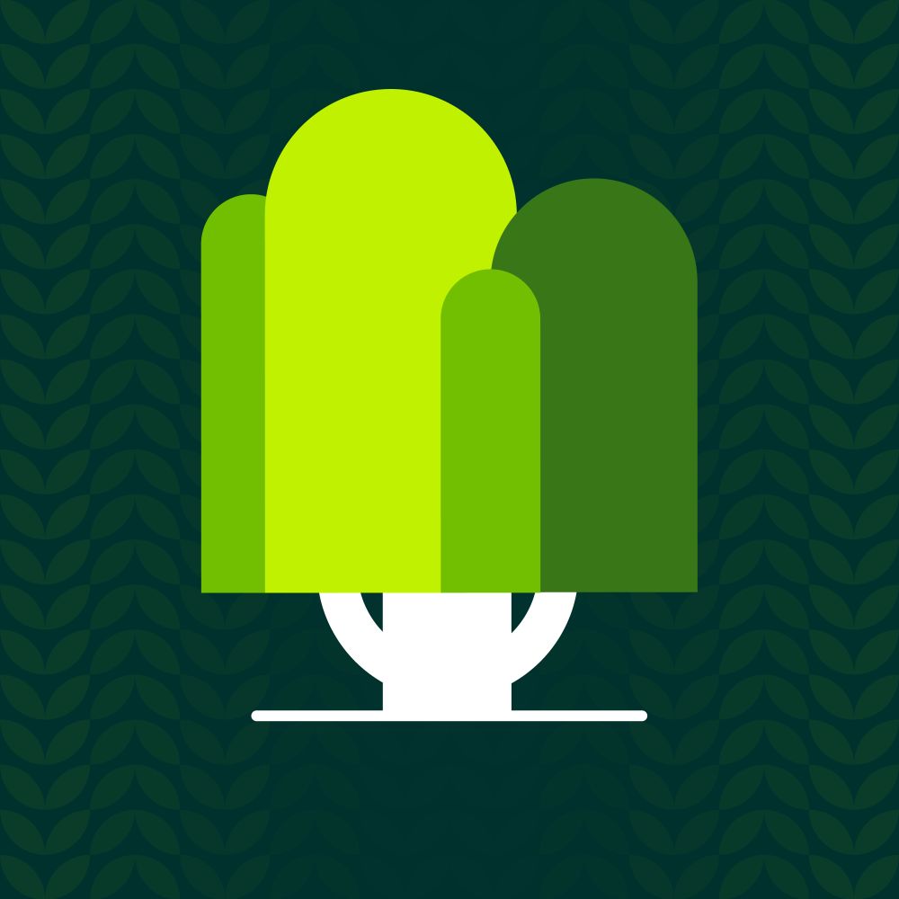 Специальная цена на Иву