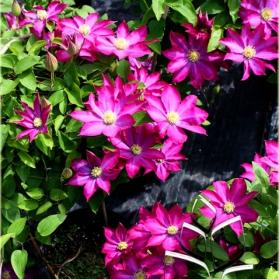 4f6acaf4f6cb6a7ea6cfbb1b667e529e_400x400