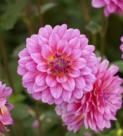 eqz88gsjlh2ctc83kg5wdr7ag6l1lgvo