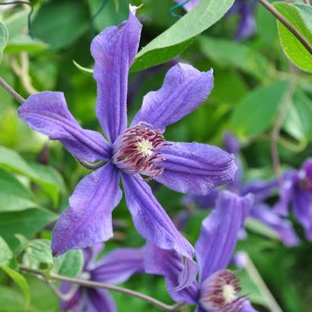 images (6)