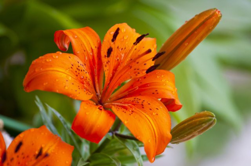 ba6819380eecccf0d63c7026f6953fbd