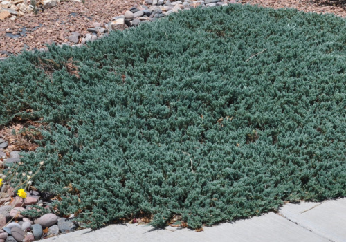 20005e-e1537449462305-1024x717