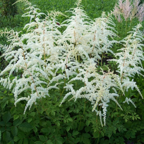 WhatsApp Image 2026-04-14 at 14.07.36