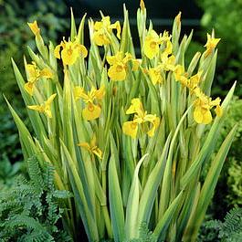 0cc7c97a_0af9_11e6_8531_50465da3695e_2dd26503_1afa_11e8_b296_50465da3695e