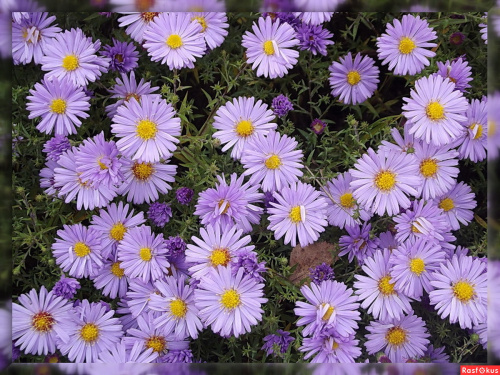 cb305a12c0e3f90739c4a1efc0a20b1d