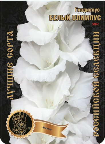 d79u953mriodh0hhvl3g0mstsfi9o83k