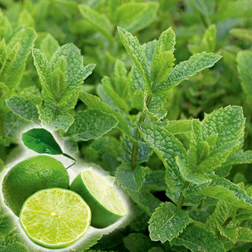 касабланка