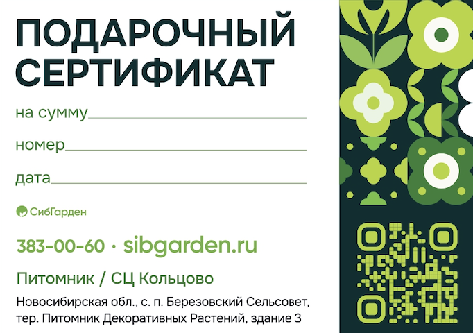 Обратная сторона сертификата - вариант 2