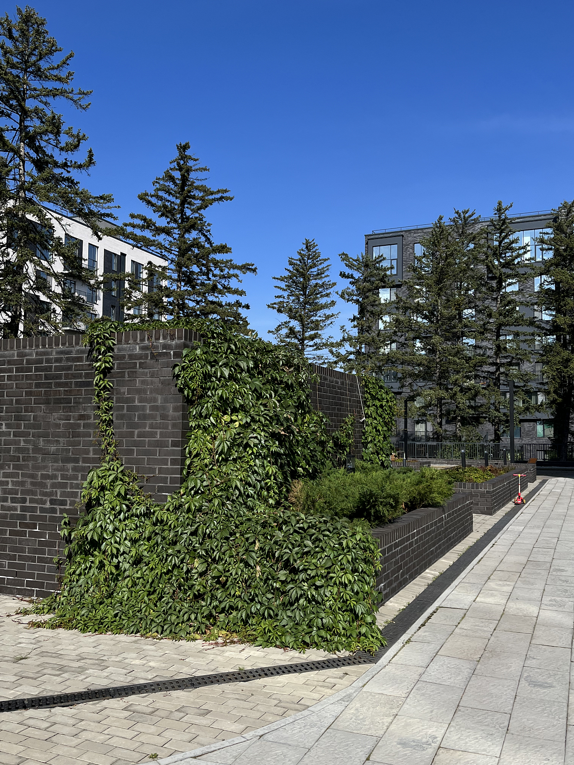 Озеленение жилого комплекса «Флора и Фауна»